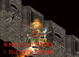 ��γ�Ϊɳ�Ϳ˵İ������귨����ȫ���Խ���