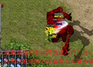 ����˽��������ο������ţ���С�׵����еĽ���֮·����Щ�ؼ����裿