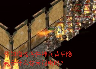 ��֪���������������������ʲô����������