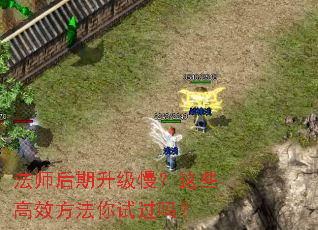 ��ʦ��������������Щ��Ч�������Թ���