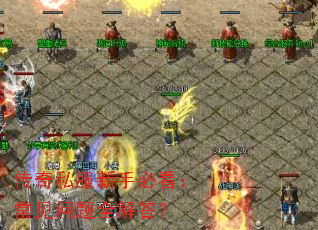 ����˽�����ֱؿ�����������ȫ���