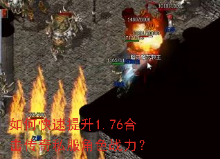 ��ο�������1.76�ϻ�����˽����ɫս����