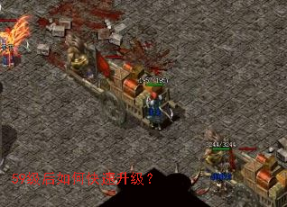 59������ο���������