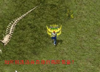 �����ѡ�ʺ������ĸ߽�װ����