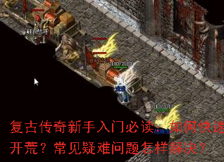 ���Ŵ����������űض�����ο��ٿ��ģ����������������������