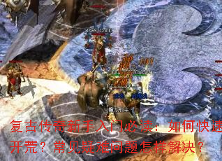 ���Ŵ����������űض�����ο��ٿ��ģ����������������������