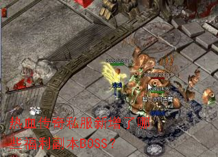 ��Ѫ����˽����������Щ��������BOSS��