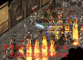 如何成为传奇私服至尊王者?征战群雄的终极奥秘揭秘 如何成为传奇私服至尊王者?征战群雄的终极奥秘揭秘