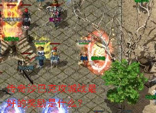 ����ɳ�Ϳ˹���ս��õĽ�����ʲô��