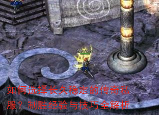 ���ѡ�񳤾��ȶ��Ĵ���˽������ʤ�����뼼��ȫ����