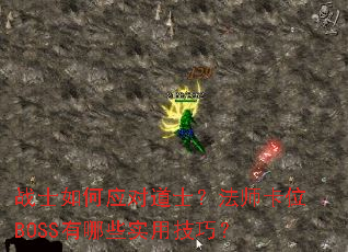 սʿ���Ӧ�Ե�ʿ����ʦ��λBOSS����Щʵ�ü��ɣ�