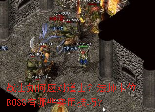 սʿ���Ӧ�Ե�ʿ����ʦ��λBOSS����Щʵ�ü��ɣ�