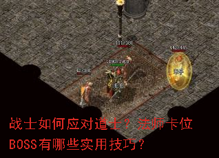 սʿ���Ӧ�Ե�ʿ����ʦ��λBOSS����Щʵ�ü��ɣ�