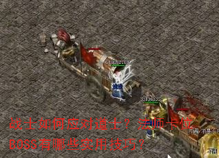 սʿ���Ӧ�Ե�ʿ����ʦ��λBOSS����Щʵ�ü��ɣ�