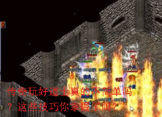 ������õ�ʿ��Ĳ�������Щ��������������