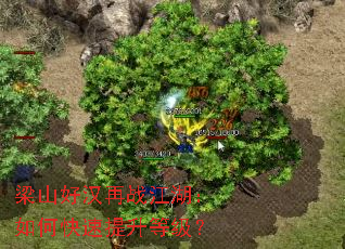 ��ɽ�ú���ս��������ο��������ȼ���