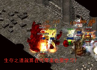 ����֮�������ڴ�����ҲҪѧϰ��