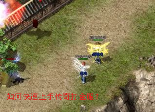 ��ο������ִ��������