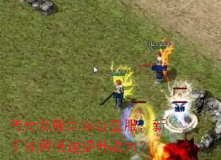 ����˽��֮�ù������������ο�������ս����