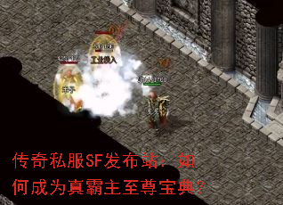 ����˽��SF����վ����γ�Ϊ��������𱦵䣿