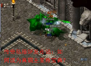 ����˽��SF����վ����γ�Ϊ��������𱦵䣿