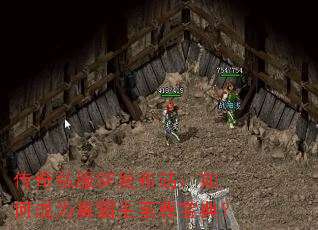 ����˽��SF����վ����γ�Ϊ��������𱦵䣿