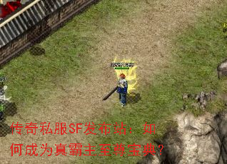 ����˽��SF����վ����γ�Ϊ��������𱦵䣿