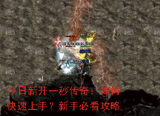 �����¿�һ�봫�棺��ο������֣����ֱؿ�����