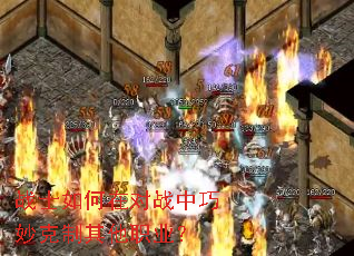 սʿ����ڶ�ս�������������ְҵ��