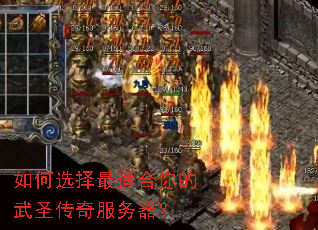 ���ѡ�����ʺ������ʥ�����������