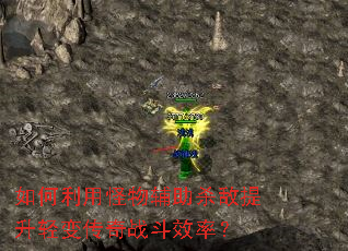 ������ù��︨��ɱ��������䴫��ս��Ч�ʣ�
