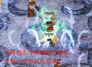 ������ù��︨��ɱ��������䴫��ս��Ч�ʣ�