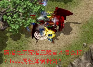 ����֮�а������긱����ô��boss���������ԣ�