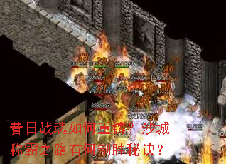 ����ս�����������ɳ�ǳư�֮·�к���ʤ�ؾ���