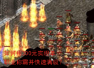�����300Ԫʵ�ֵ�ְҵ�ưԲ�����������