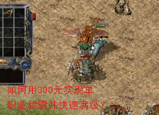 �����300Ԫʵ�ֵ�ְҵ�ưԲ�����������