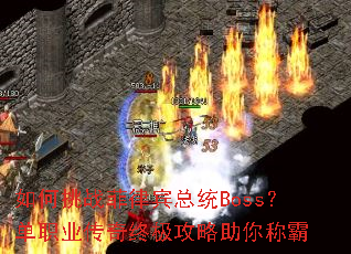 �����ս���ɱ���ͳBoss����ְҵ�����ռ���������ư�