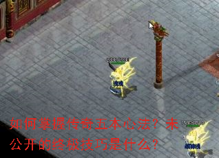 ������մ����屾�ķ���δ�������ռ�������ʲô��