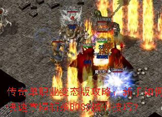 ���浥ְҵ��̬�湥�ԣ�������ο�������նɱBOSS���ļ��ɣ�