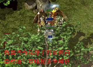 ��Ѫ����˽����������ʶ��۷壿�����ؾ�ȫ����