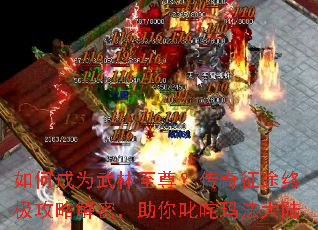 ��γ�Ϊ�������𣿴�����;�ռ����Խ��ܣ�����߳���귨��½