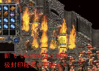 �·ɷ�˽���ʵ������ռ���ӡ�ؾ�����ƹأ�