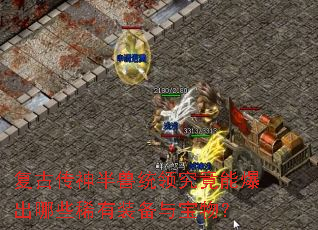 ���Ŵ������ͳ�쾿���ܱ�����Щϡ��װ���뱦�