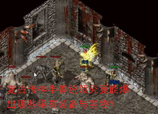 ���Ŵ������ͳ�쾿���ܱ�����Щϡ��װ���뱦�