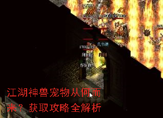 江湖神兽宠物从何而来?获取攻略全解析 江湖神兽宠物从何而来?获取攻略全解析