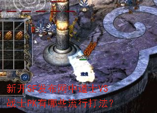 新开SF发布网中道士VS战士PK有哪些流行打法? 新开SF发布网中道士VS战士PK有哪些流行打法?