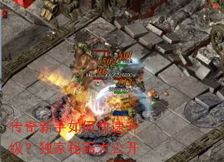 传奇新手如何快速升级?独家秘籍大公开 传奇新手如何快速升级?独家秘籍大公开