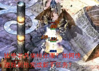 比奇老兵坐标在哪?如何快速找到他完成新手任务? 比奇老兵坐标在哪?如何快速找到他完成新手任务?