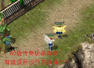 1.80�洫����������Ч����ɳ�Ϳ�ս������