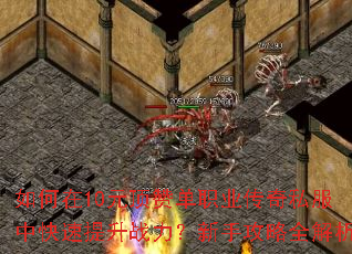 �����10Ԫ���޵�ְҵ����˽���п�������ս�������ֹ���ȫ����